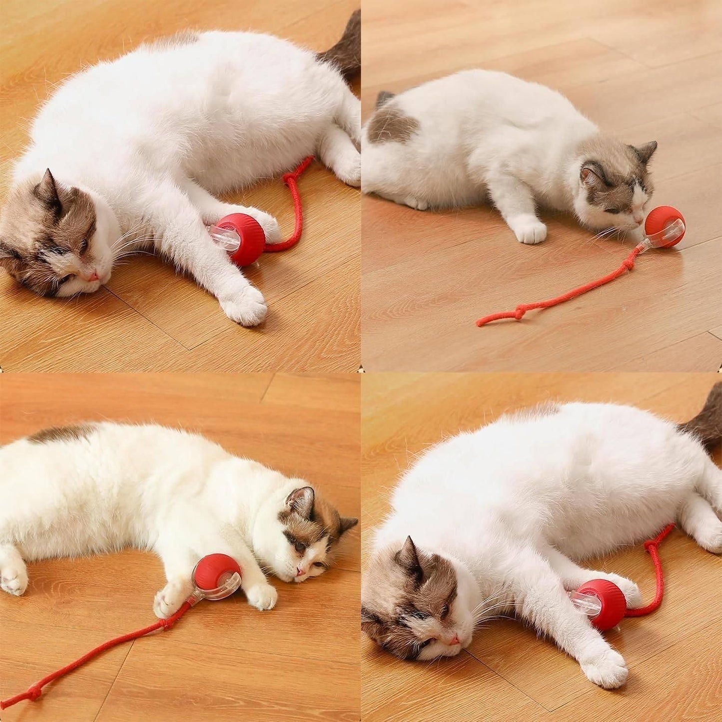 PurrPlay™ Viral Rolling Ball – Interactive Fun for Furry Friends