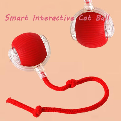 PurrPlay™ Viral Rolling Ball – Interactive Fun for Furry Friends