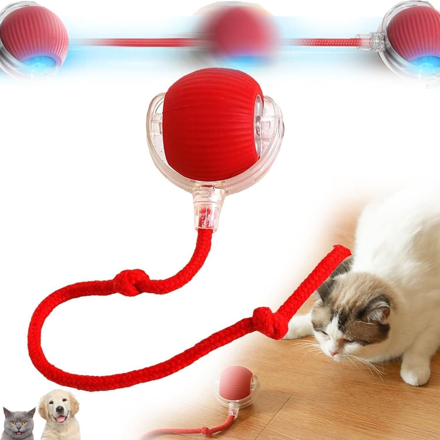 PurrPlay™ Viral Rolling Ball – Interactive Fun for Furry Friends